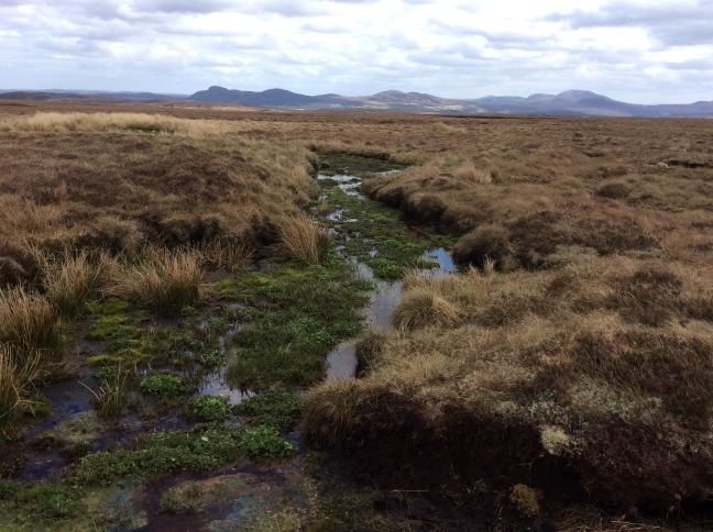 Wageningen Geography Lecture | Peatland Literacy: Excavating Interdisciplinary Sites of Learning | by Derek Gladwin