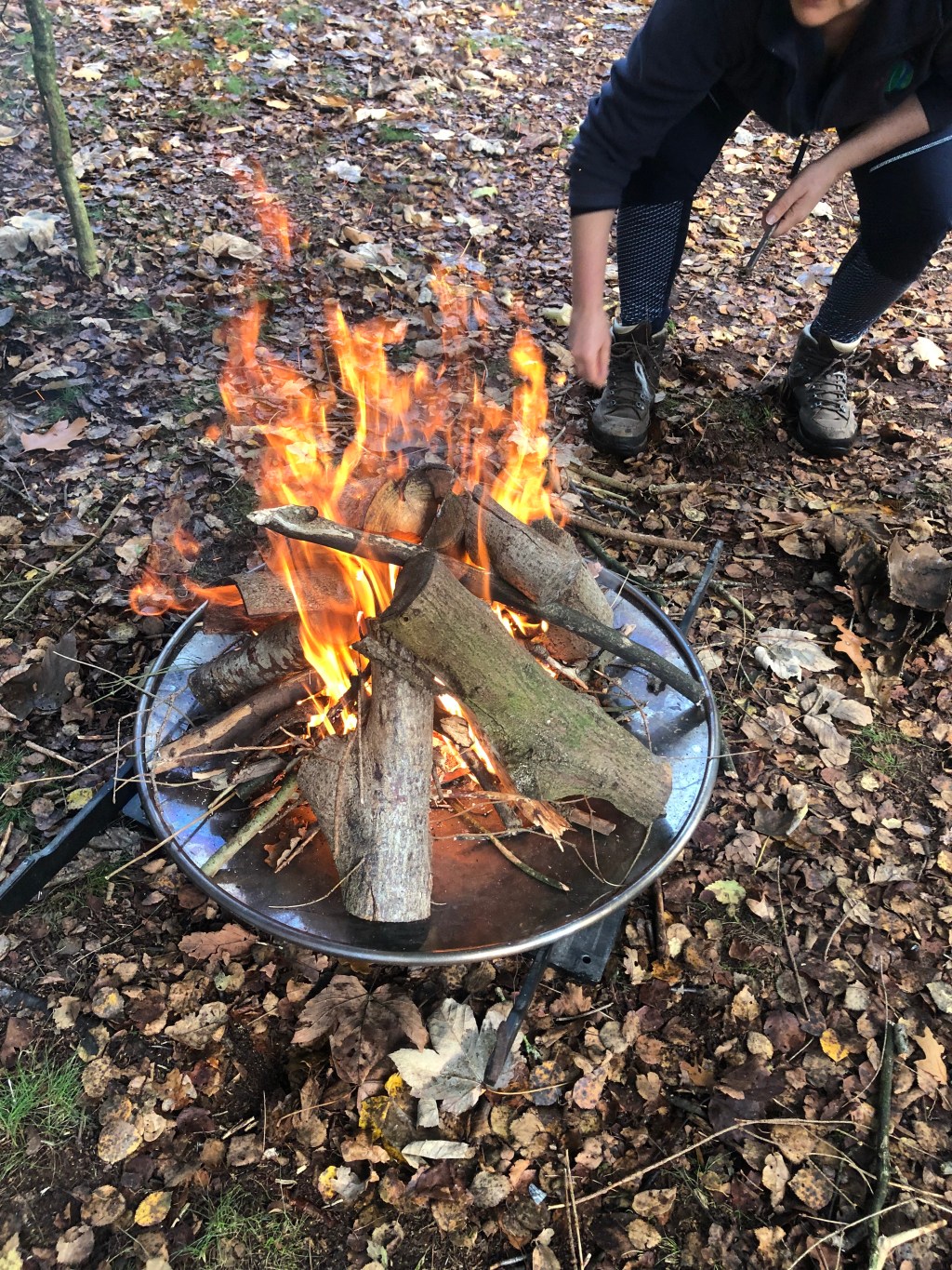 Blog | Transformative Learning Hub Goes Wild | Nature-based education with Ioanna Skaltsa, Ewout Openneer, Reineke van Tol, Koen Arts and Gina&nbsp;Maffey