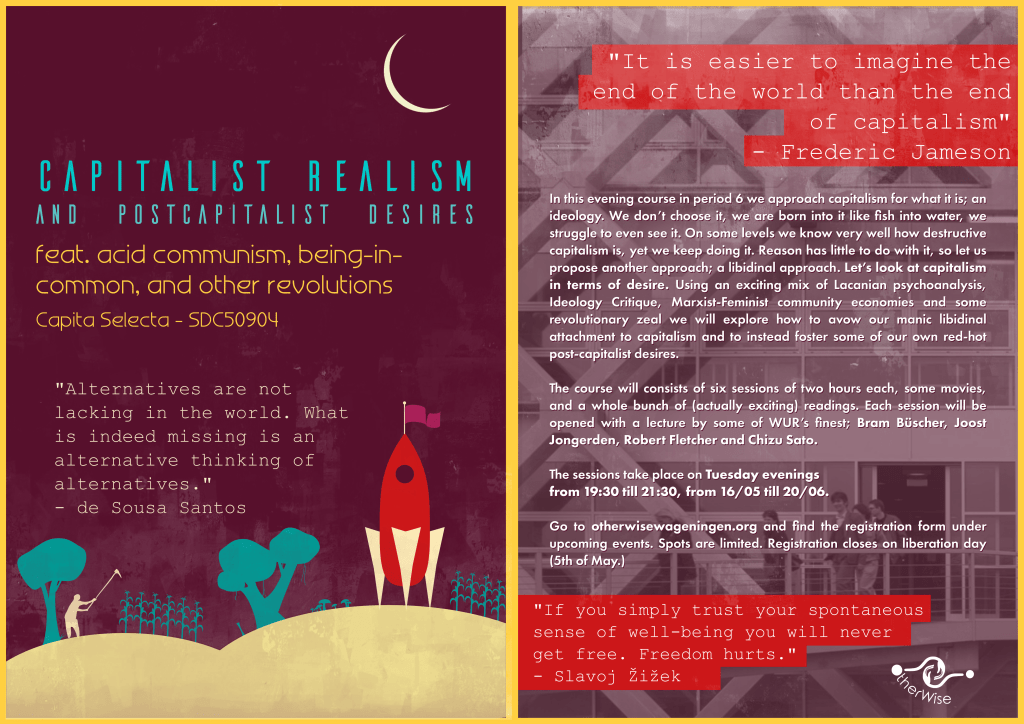 Capita Selecta Course | Capitalist Realism | Period 6