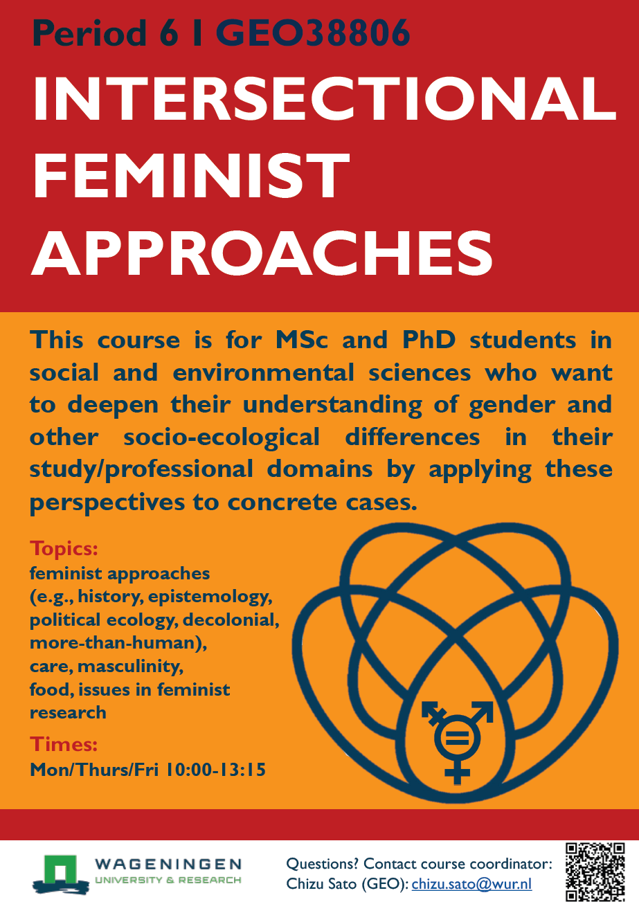 Course | Intersectional Feminist Approaches (GEO38806)