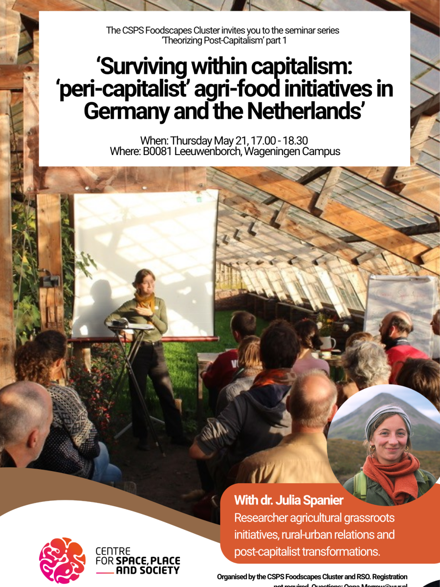 Seminar Series ‘Theorizing Post-Capitalism’ | Part 1, with Julia&nbsp;Spanier