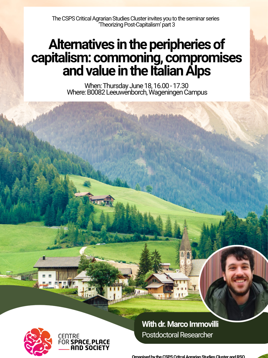Seminar Series ‘Theorizing Post-Capitalism’ | Part 3, with Marco&nbsp;Immovilli